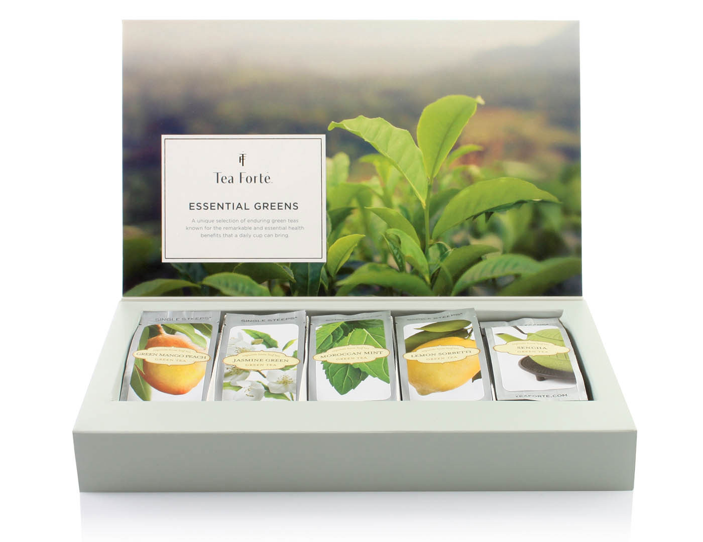 PACK TEA FORTE POPPY 2021 - Imagen 7