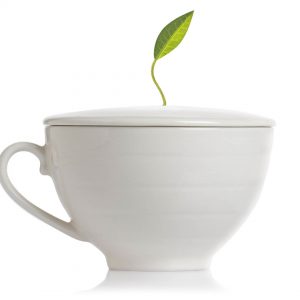 TAZA CAFETERA BONE WHITE